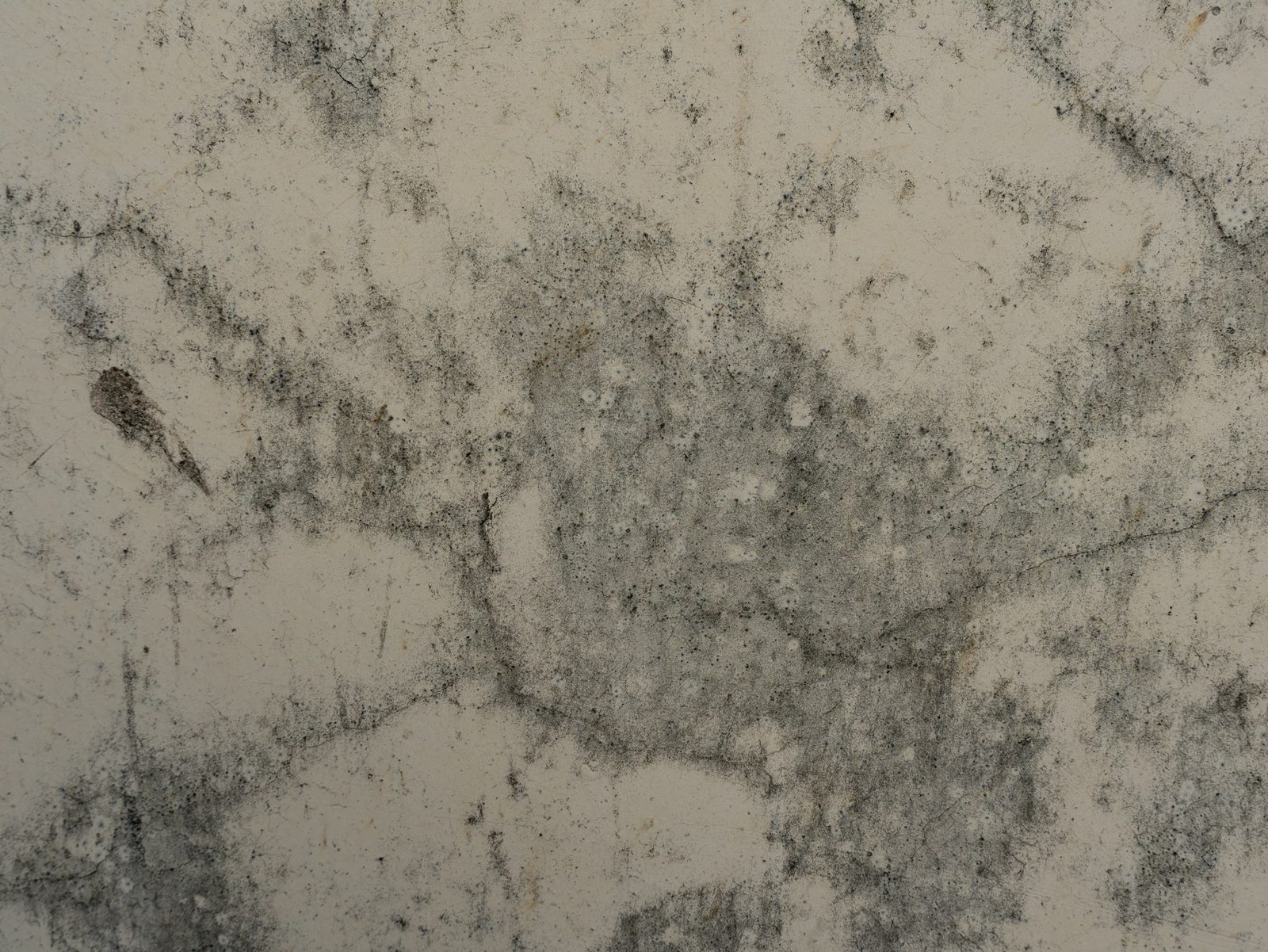 A technician performing mould and asbestos testing in a home