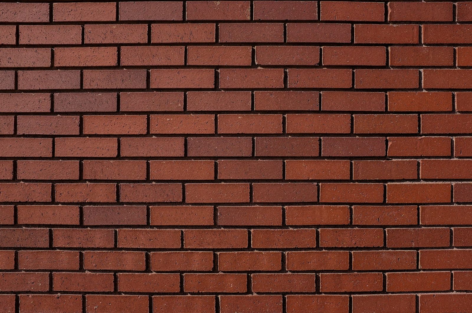 An inspector examining an exterior foundation wall